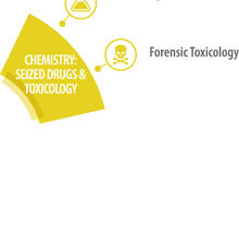 Chemistry: Seized Drugs and Toxicology SAC and subcommittees