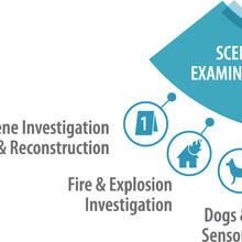 Scene Examination SAC and subcommittees