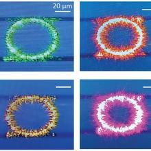 Series of nanophotonic resonators