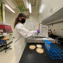 A woman in lab coat, safety glasses and a mask stands at a lab bench weighing samples.