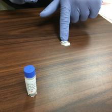 A person wearing purple plastic gloves points to a small amount of white powder on a tabletop. A plastic vial stands in the foreground.