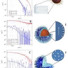 Plot of the polarization analyzed small angle neutron scattering (PASANS) data, along with a schematic drawing of the corresponding magnetic domain structure in the magnetic nanoparticle.  The BNFs show multi-domains; the JHUs show a single magnetic domain core, with a mis-aligned shell; the SPIOs show a random distribution of mis-aligned magnetic moments dispersed throughout the magnetic nanoparticle.