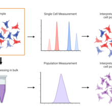 Single-cell measurements retainining individual information about individual cells