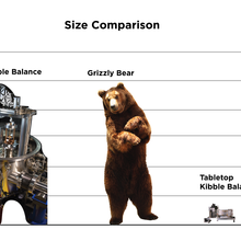 A size comparison chart showing four objects: a NIST-4 Kibble balance (around 2.5 meters), a grizzly bear (same), a tabletop Kibble balance (less than .5 meters), and a leopard tortoise (same).