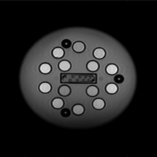 black and white image. gray circle with small white circles scattered throughout