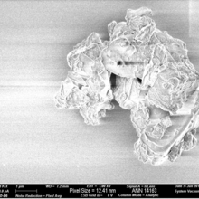 Black and white enlarged image of moon dust particle