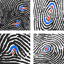 fingerprints