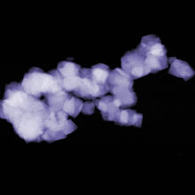 Zeolite Y