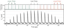 single-photon synaptic response graph