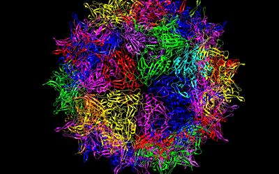 A multicolored sphere made up of a dense network of colored ribbons against a black background.