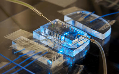 Clear glass "boxes" with tubes coming in and out