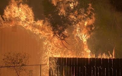 Flames rising from a burning fence are spreading to a tree above and a shed nearby.