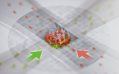Artist’s rendering of an organ-on-a-chip device