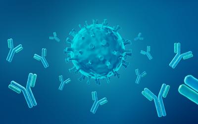 A spherical, spiky virus is approached on all sides by Y-shaped antibodies. 