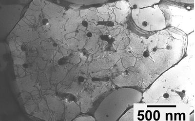 A black and white image of the aluminum alloy under a microscope. Most of the image is light grey, but there are many small black spots that have lines extending out from them like cracks.