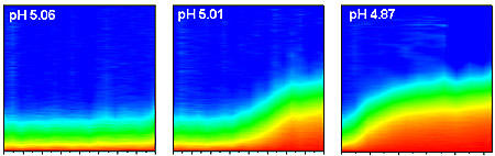 clumping of typical nanoparticles