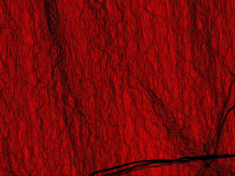 Colorized micrograph of the world's darkest material