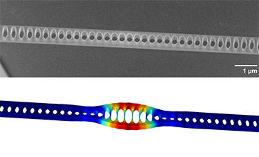 Purdy device image