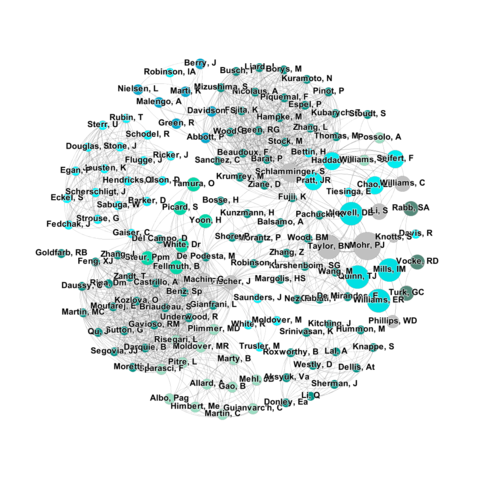 coauthor network