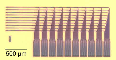 Ten amber-colored hair combs with handles lined up facing left on a yellow background