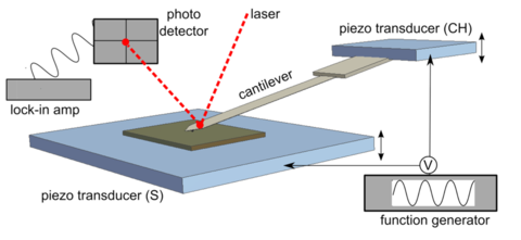 The AFM has multiple parts including cantilever, optical detection, sample scanning and more