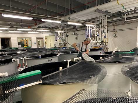 The HML’s aquatic production facility used for rearing fish and conducting replicated studies related to improving aquaculture production.