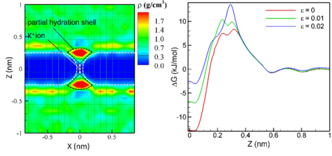 Plots of modeled hydration shell behavior