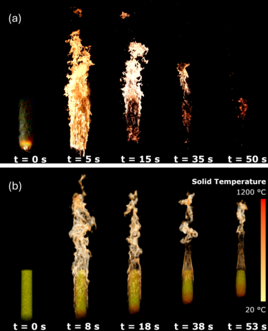 Burning dynamics of a surrogate vegetative fuel