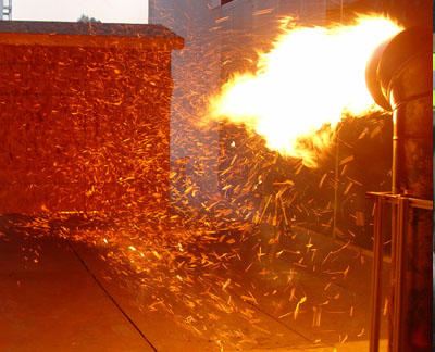 NIST Dragon