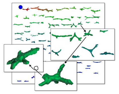 Interactive 3D-cell viewer images of primary human bone marrow stromal cells that were cultured for 24 h in collagen gel. Four screen captures depict how 3D cell renderings can be rotated in 3D and viewed at different magnifications. 