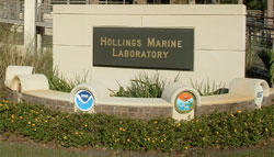 An exterior building sign reading "Hollings Marine Laboratory"