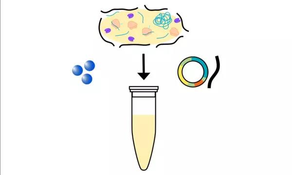 The insides of a bacteria cell being mixed with DNA to make protein in a test tube