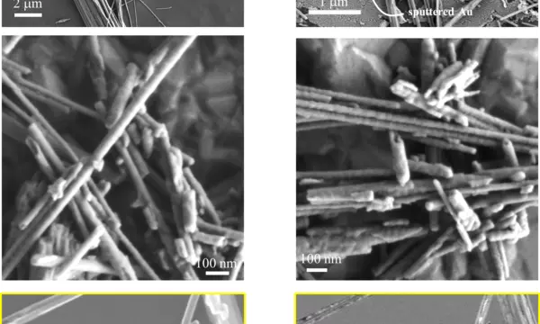 Grid of six B&W images of asbestos fibers taken by scanning electron microscopy