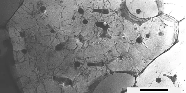 A black and white image of the aluminum alloy under a microscope. Most of the image is light grey, but there are many small black spots that have lines extending out from them like cracks.