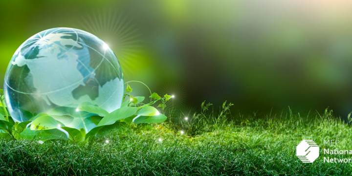 Earth sitting in green leaves on the grass as a renewable energy concept