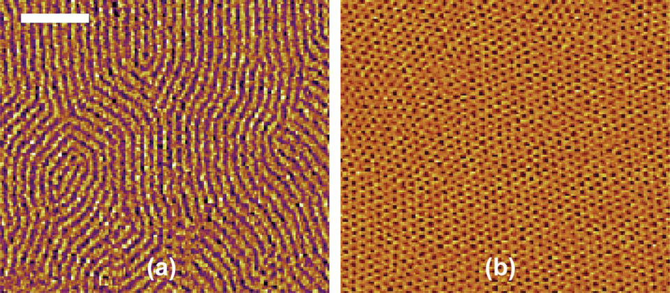 Thin film image