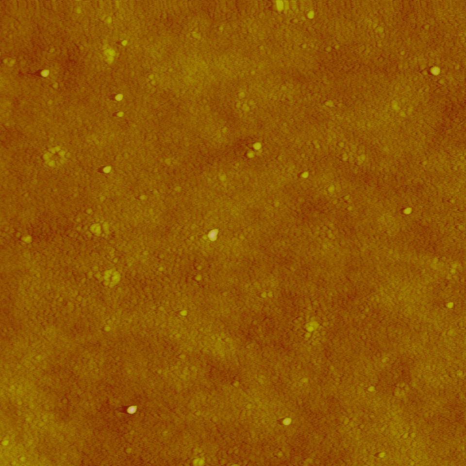 AFM (Atomic force microscopy) image of silver nanoparticles