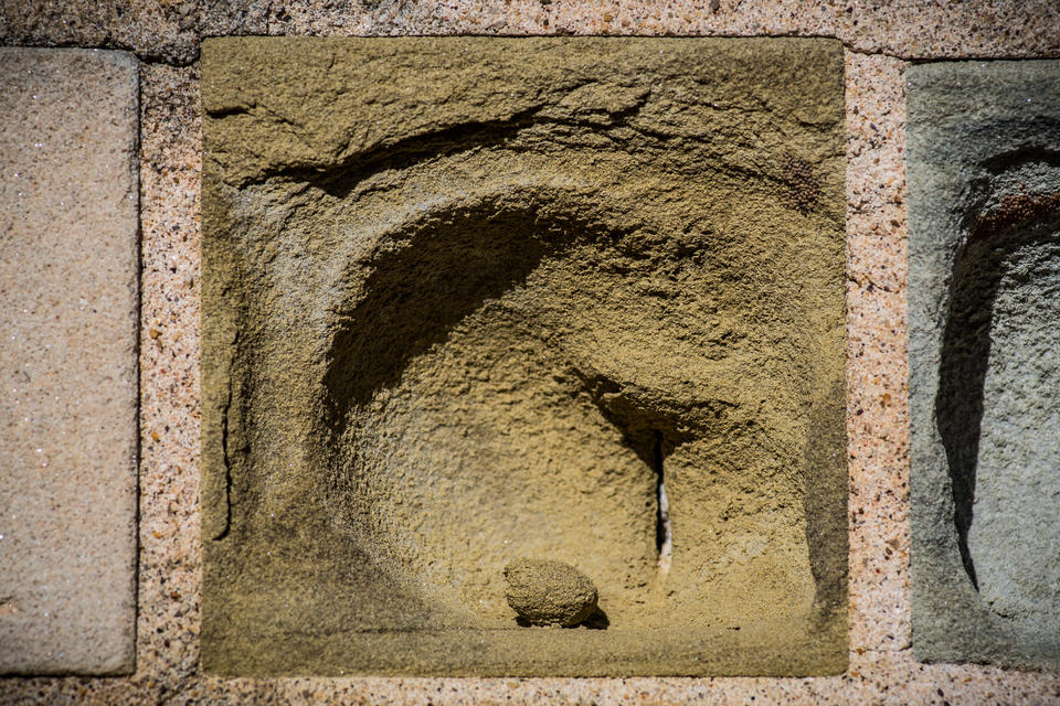 NIST Stone Test Wall Ohio yellow sandstone with loose stone