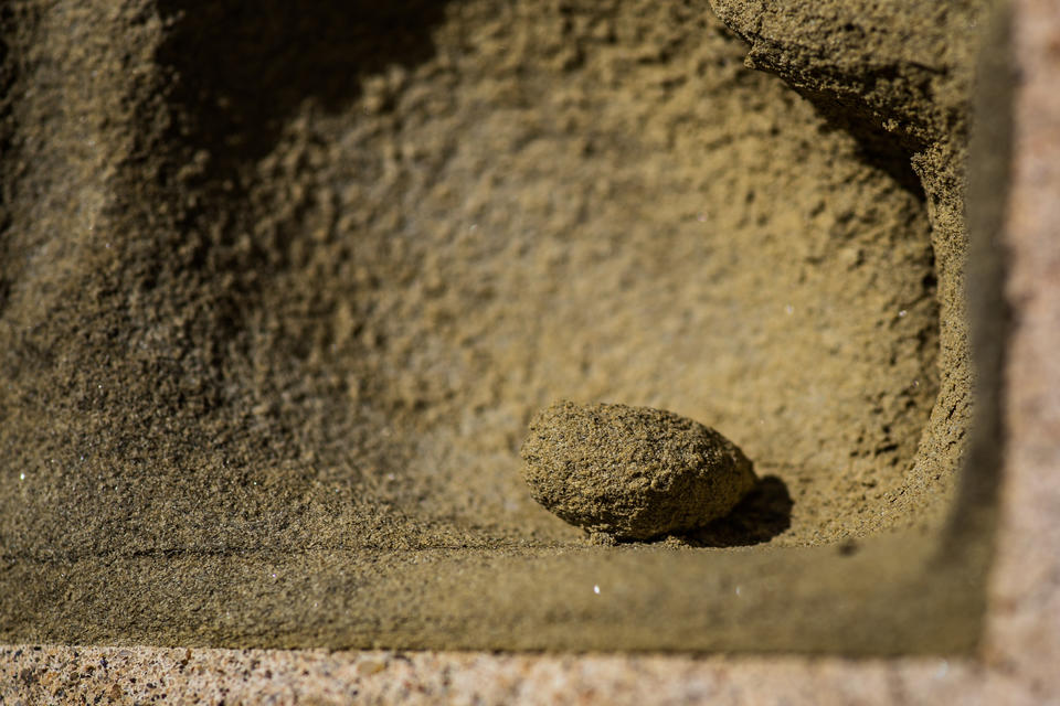 NIST Stone Test Wall Ohio sandstone detail of loose nugget sitting in weathered pocket