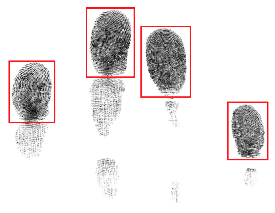 Segmented Slap Fingerprint