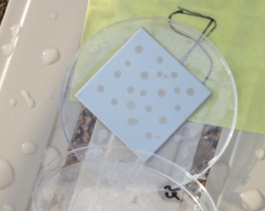 image of yeast material