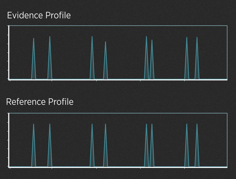 Two series of peaks on a black background, one labeled, “Evidence Profile,” and the other labeled, “Reference Profile.” 