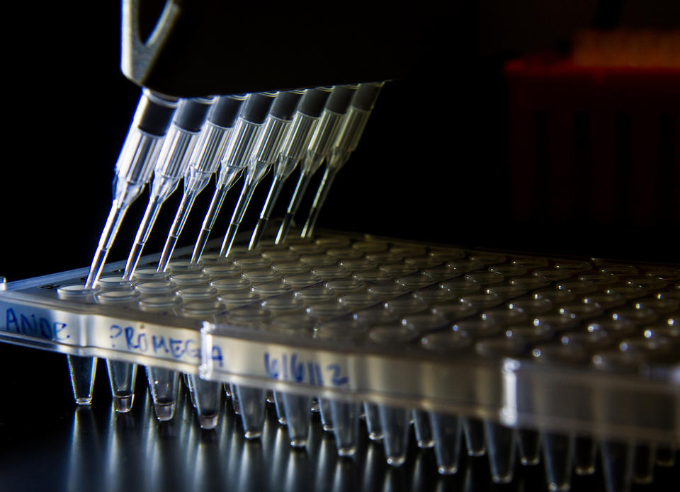 Pipettes and vials