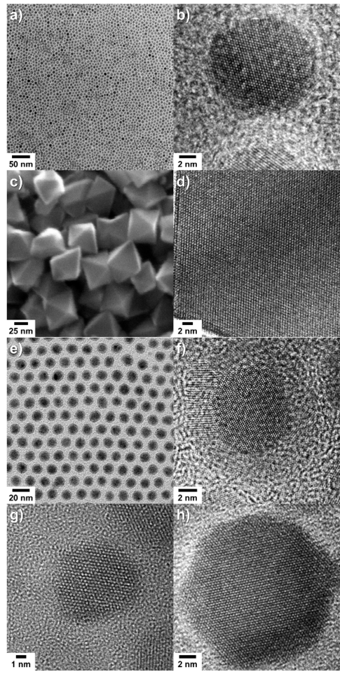 Electron micrographs of representative as-synthesized MNPs for thermometry.  