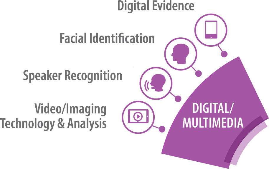 Digital/Multimedia SAC and subcommittees