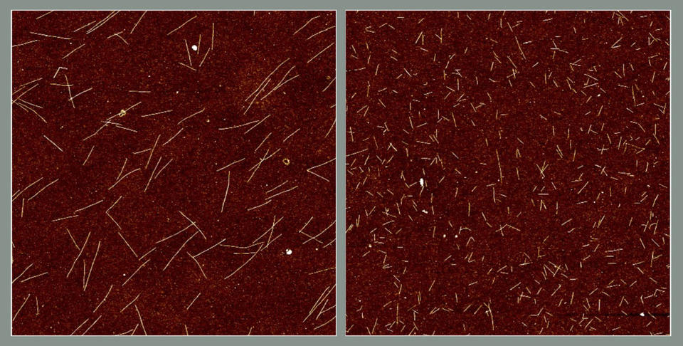 Two microscope images side by side show longer white lines on rust-colored background on left, shorter lines on right.