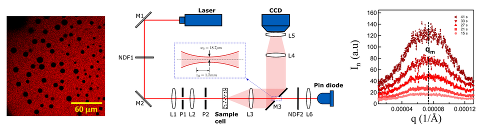 Kinetics of phase separation