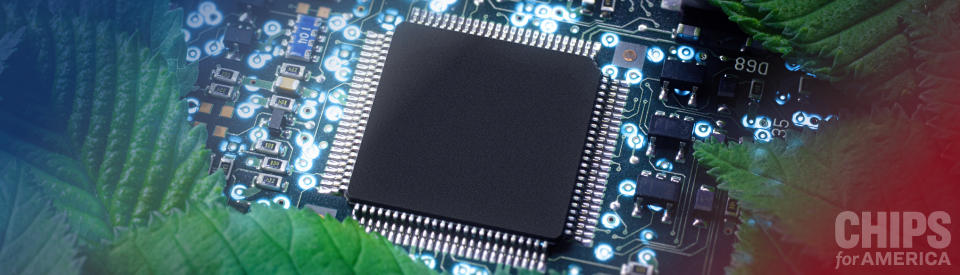 banner image of a semiconductor chip buried under green leaves in nature