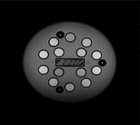 black and white image. gray circle with small white circles scattered throughout