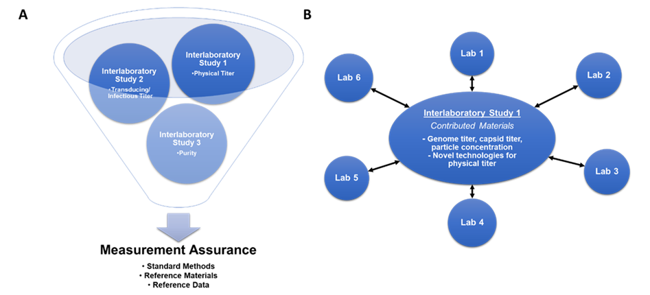 A figure with two panels. Left panel shows the activities of WG4-ILS1 physical titer, WG4-ILS2 infectious titer, and WG4-ILS3 purity, as funneling into the result of measurement assurance for gene delivery systems and potential generation of standard methods, reference materials or reference data. Right panel shows the activities of WG4-ILS1 that will be distributed to labs through sharing contributed materials for measurements of genome titer, capsid titer, particle concentration, and other methods.